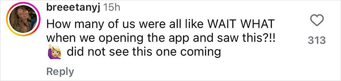 Instagram comment reacting to Elizabeth Hurley and Billy Ray Cyrus romance debut.