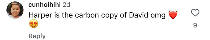 Comment about Harper being a "carbon copy" of David with heart and heart-eyes emojis.