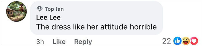 Facebook comment criticizing a dress, mentioning attitude, with 22 likes and reactions.