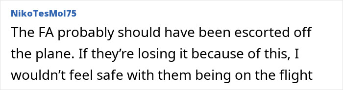 Comment criticizing flight attendant's reaction to disabled passenger. Comment criticizing flight attendant's reaction to disabled passenger.