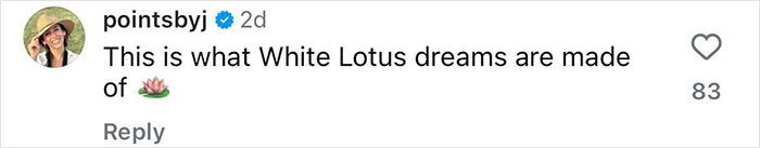 Comment mentioning dreams, featuring a lotus emoji, referencing exotic destinations like Fiji in text.