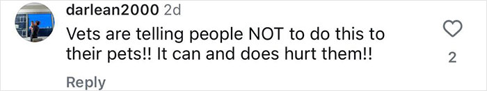 Comment criticizing Jennifer Garner for alleged animal cruelty with her cat. Comment criticizing Jennifer Garner for alleged animal cruelty with her cat.