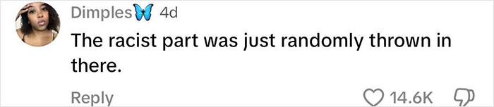 Comment mentioning racism amid adult content daycare controversy, with 14.6K likes.