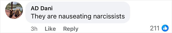 Comment on Blake Lively's spray tan mishap: "They are nauseating narcissists" with 211 likes.