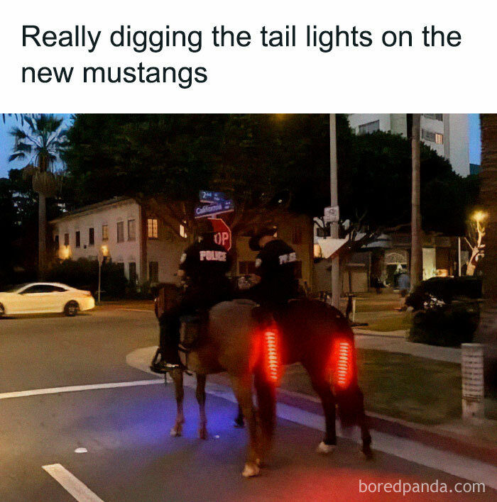 Police horses with LED tail lights, humorous car meme.