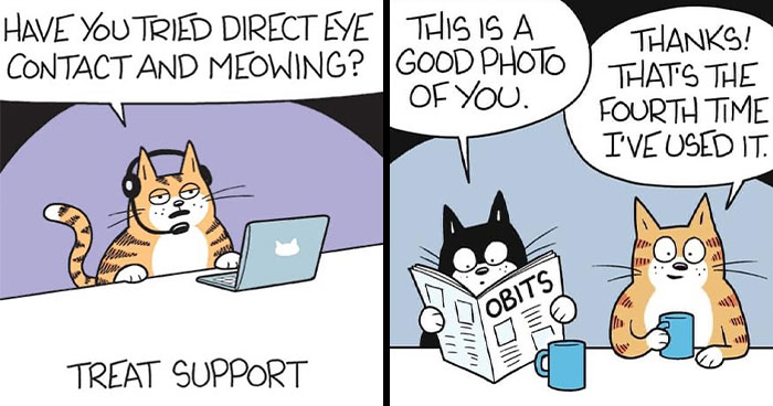 This Artist Sums Up Life With A Cat In His 23 New Funny Cartoons