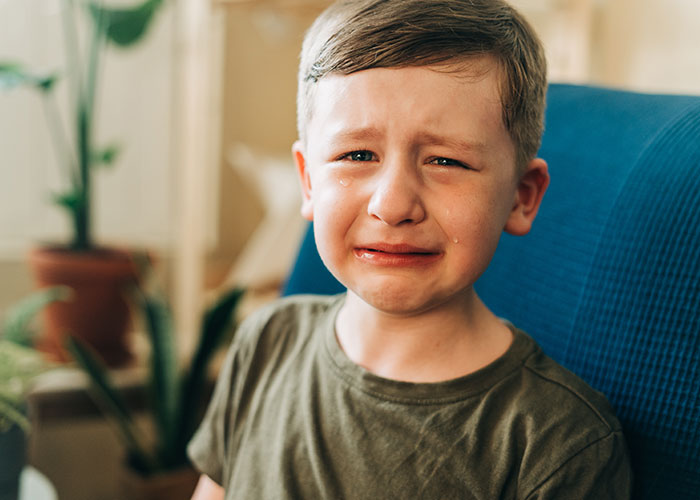 A young boy in a green shirt crying, seated on a blue chair, with plants in the background.