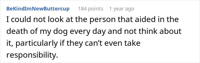 Text expressing inability to forgive after an incident involving a dog's death and weighted blanket.