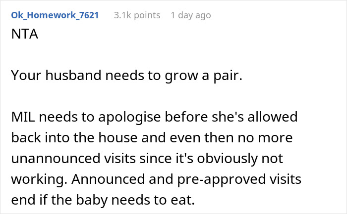 Reddit comment discussing issues with MIL related to breastfeeding.
