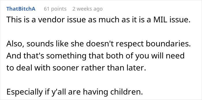 Reddit comment about MIL issues with wedding menu, highlighting boundary disrespect and future advice for the couple.