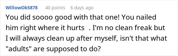 Comment highlights a woman's plan to teach her boyfriend to pick up after himself, questioning adult responsibilities. Comment highlights a woman's plan to teach her boyfriend to pick up after himself, questioning adult responsibilities.