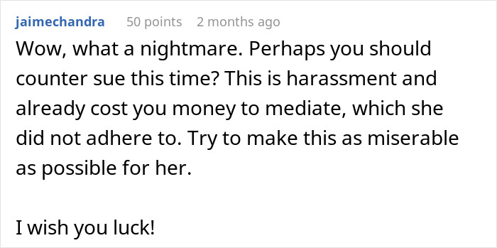 Comment on neighbor suing again, advice to counter sue and suggestions for making it difficult for her. Comment on neighbor suing again, advice to counter sue and suggestions for making it difficult for her.