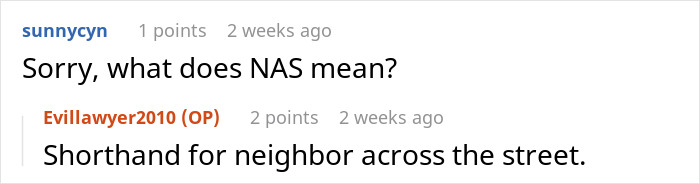 Reddit comment discussing the acronym NAS, related to neighbor's yard.