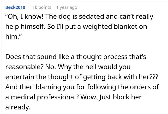 Comment discussing weighted blanket incident involving dog with injured back.