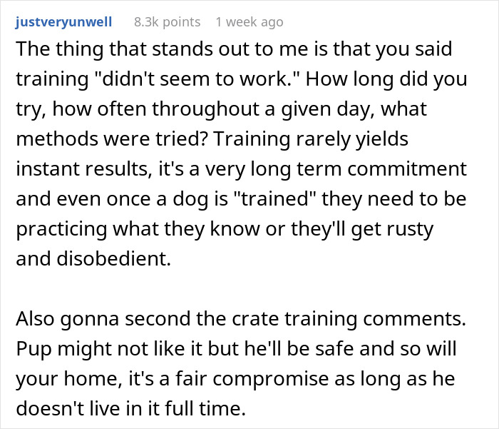 Discussion on dog training methods for adopted dog's behavior issues, highlighting long-term commitment and crate training benefits.