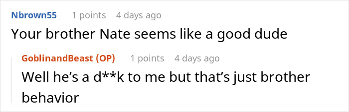 Reddit comments discussing a brother's behavior in a casual conversation.