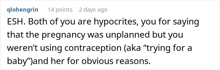 Reddit comment criticizing hypocrisy in a discussion about an unplanned pregnancy. Reddit comment criticizing hypocrisy in a discussion about an unplanned pregnancy.
