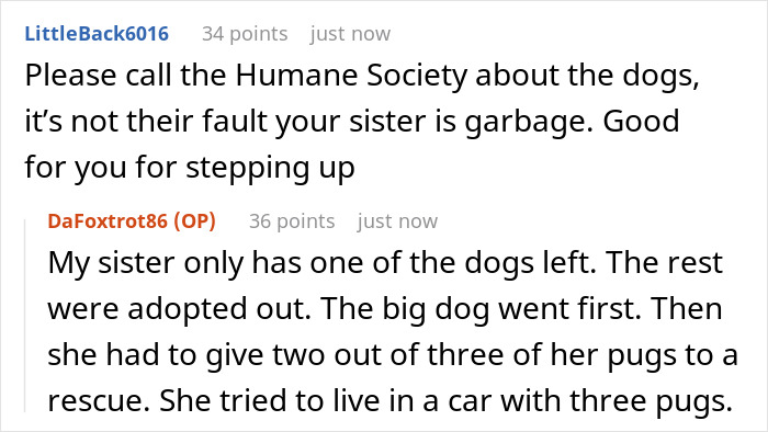 Comments discussing sister's neglect with kids and dogs, brother helps in custody situation.