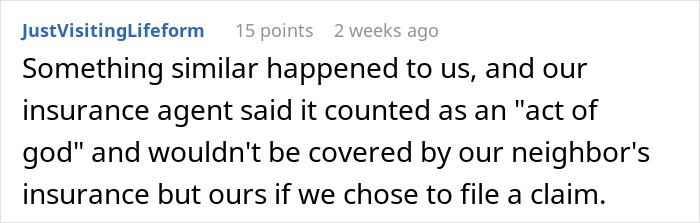 Comment discussing insurance coverage for trampoline damage during a storm.