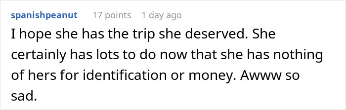 User comment expressing satisfaction about a rude plane passenger losing her purse.