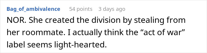 Text screenshot about roommate causing division by stealing.
