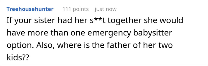 User comment about babysitting sister&rsquo;s kids and responsibility during work and dinner time in an online discussion.