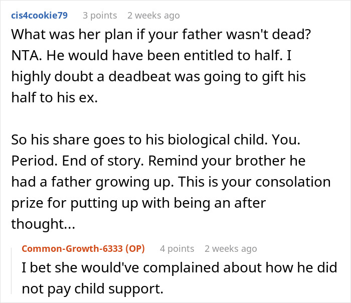 Reddit comment discussing fairness in sharing money from parents&rsquo; apartment, mentioning child support concerns.