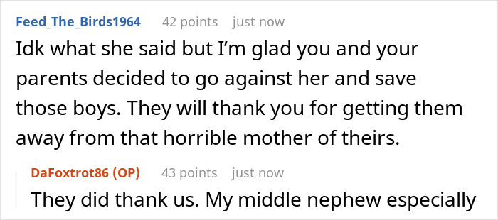 Reddit comments about a woman's brother helping get full custody of her 3 kids.