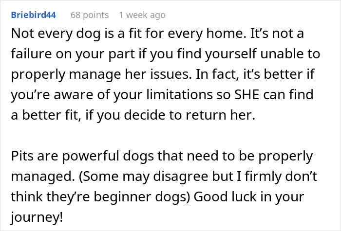 Comment discussing challenges of managing a rescue dog and advice on handling it. Comment discussing challenges of managing a rescue dog and advice on handling it.
