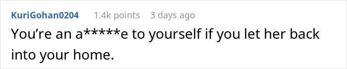 Reddit user comment discussing boundaries with BIL and girlfriend's bags.