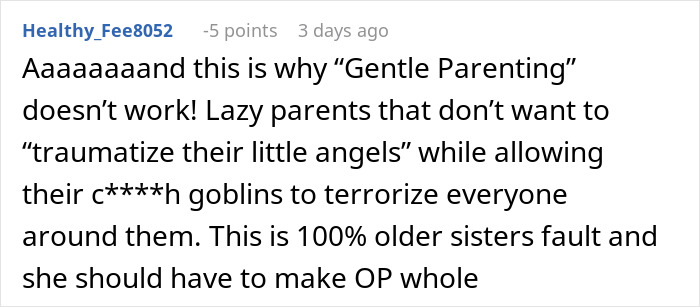 Online comment criticizing parenting after $2,000 damages and family drama involving sister and nephew.