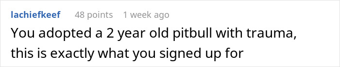 Text comment about adopting a 2-year-old pitbull, highlighting rescue dog challenges. Text comment about adopting a 2-year-old pitbull, highlighting rescue dog challenges.
