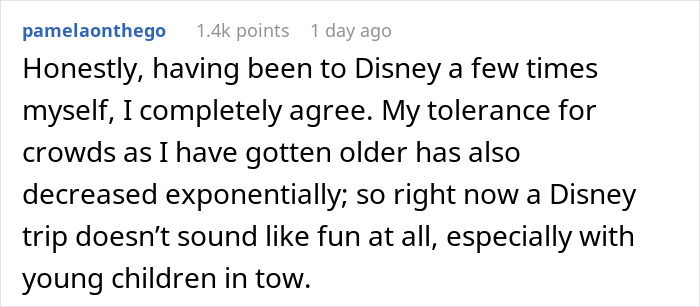 Comment discussing decreased tolerance for crowds, agreeing that a Disney trip may not be enjoyable with young children.