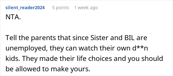 Reddit comment defending a person's decision not to babysit nephews, emphasizing personal choices. Reddit comment defending a person's decision not to babysit nephews, emphasizing personal choices.