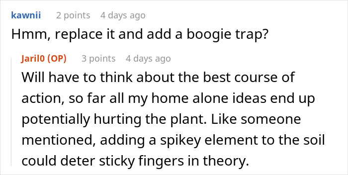 Comments discussing plant theft prevention with potential solutions like booby traps to deter a plant thief.
