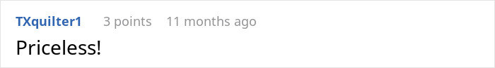 Comment by user TXquilter1, posted 11 months ago, saying "Priceless!" in response to petty revenge on an arrogant driver.