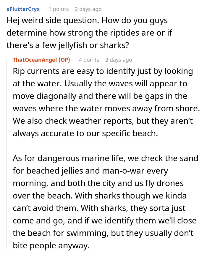 Screenshot of an online discussion about identifying rip currents and avoiding dangerous marine life at the beach.