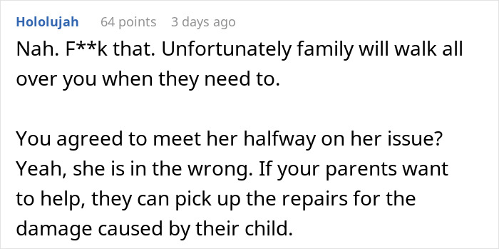 Reddit comment discussing family drama and damages after hosting sister and nephew.