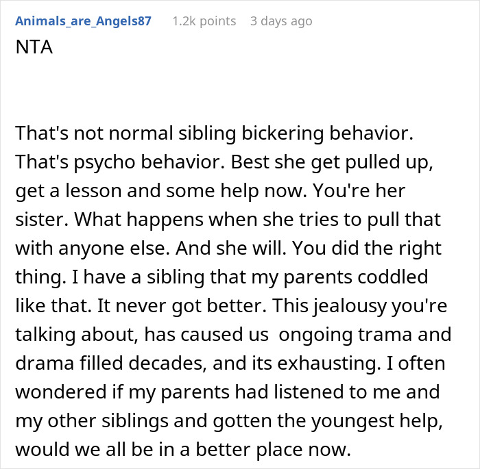 Reddit comment discussing sibling behavior after sister destroyed clothes, supporting the decision of getting her arrested.