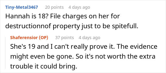 Reddit discussion about legal action for property destruction involving a teen and stepdaughter.