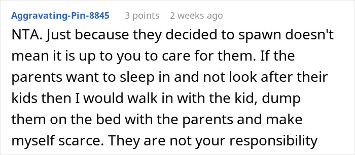 Reddit comment on babysitting nephews, emphasizing they're not your responsibility, with advice on handling parental duties. Reddit comment on babysitting nephews, emphasizing they're not your responsibility, with advice on handling parental duties.