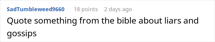 Comment on a forum screen showing user SadTumbleweed9660 requesting a Bible quote about liars and gossips, relating to aunt drama and niece refusing babysitting.