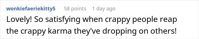 Reddit comment about karma and rude passenger related to perfect revenge act.