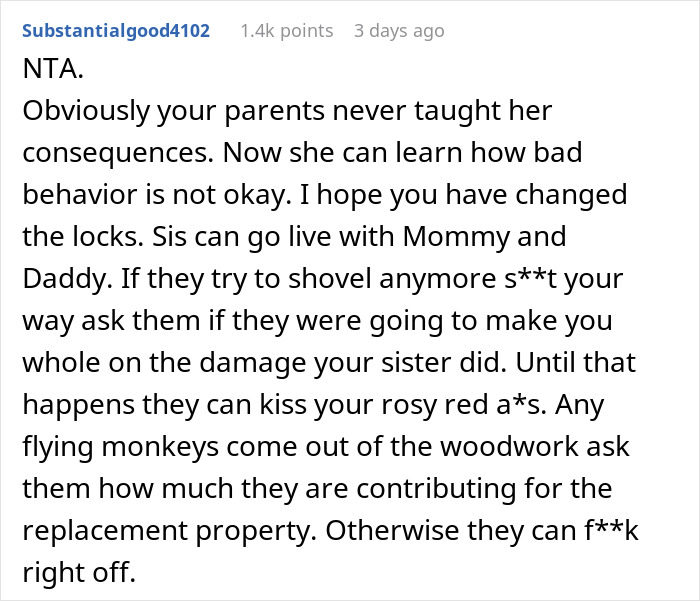 Reddit comment discussing consequences, family dynamics, and property damage related to sister's actions.