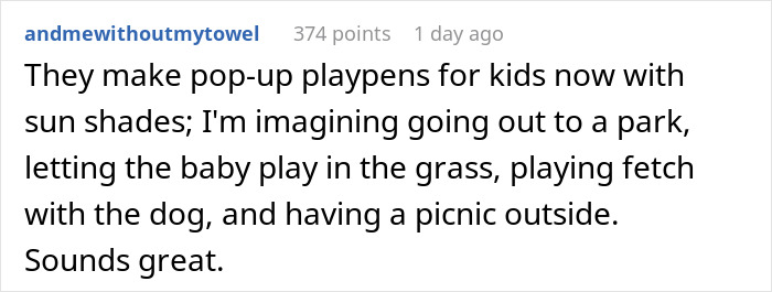 Reddit comment describing a park picnic with kids and pets, envisioning play and leisure.