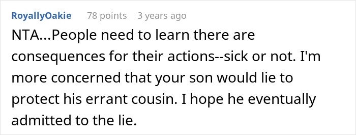 Reddit comment discussing consequences for actions, focusing on a son's behavior and a family dispute.