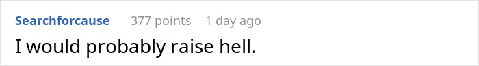 Reddit comment saying, "I would probably raise hell," discussing parenting choices.
