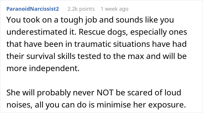 Comment discussing challenges of untrainable rescue dogs and their behavior, highlighting independence and loud noise sensitivity. Comment discussing challenges of untrainable rescue dogs and their behavior, highlighting independence and loud noise sensitivity.