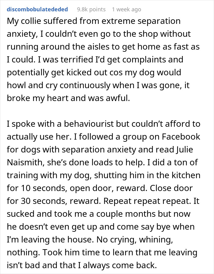 Story about spouses arguing over their adopted dog's separation anxiety and training challenges.