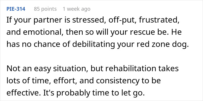 Text advising on stressed partners and untrainable rescue dogs, highlighting the challenges of effective rehabilitation. Text advising on stressed partners and untrainable rescue dogs, highlighting the challenges of effective rehabilitation.